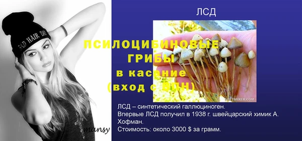 СК Щучье